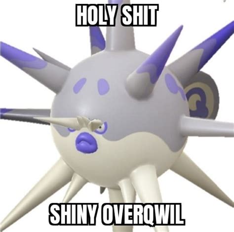 shiny overqwil roverqwilcult