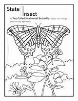 Coloring Arizona State Pages Butterfly Texas Insect Florida Adults Bird Pennsylvania Flower Butterflies Printable Ohio Virginia Print West Vermont Kids sketch template