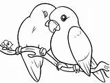 Coloring Lovebird 457px 04kb sketch template