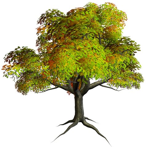 images tree   images tree png images  cliparts
