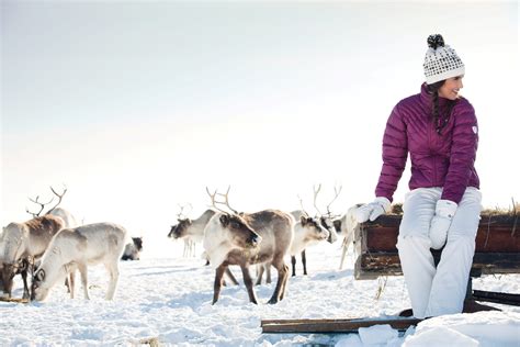 wintersport lapland verrassende wintervakantie  finland tui
