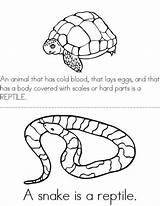 Reptile Reptiles Preschool Worksheets Book Twistynoodle Kindergarten Printable Kids Activities Sheet Mini Worksheet Coloring Animal Books Life Zoo Crafts Characteristics sketch template