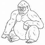 Gorilla Bokito Create sketch template
