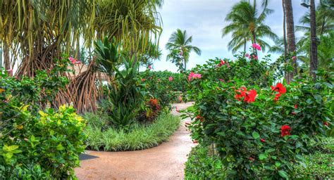 tour the beautiful princeville botanical gardens kauai