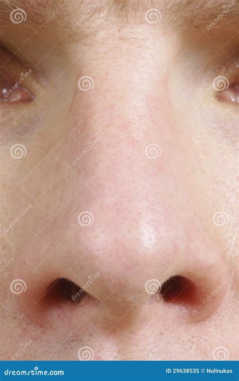 human nose royalty  stock photo image