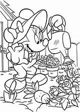 Coloring Garden Pages Gardening Kids Vegetable Minnie Preschool Color Adults Seeds Printable Disney Drawing Mouse Secret Print Cartoon Sheets Succulent sketch template