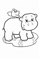 Coloring Baby Pages Hippo Zoo Animals Animal Cute Printable Kids Babies Jungle Popular Coloringhome Template sketch template