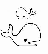 Coloring Pages Whale sketch template