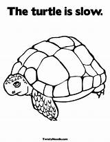 Coloring Turtle Opposites Colouring Pages Slow Fast Comments Popular Coloringhome sketch template