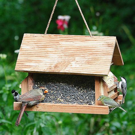 lodge seed suet bird feeder wild bird feeders bird feeders