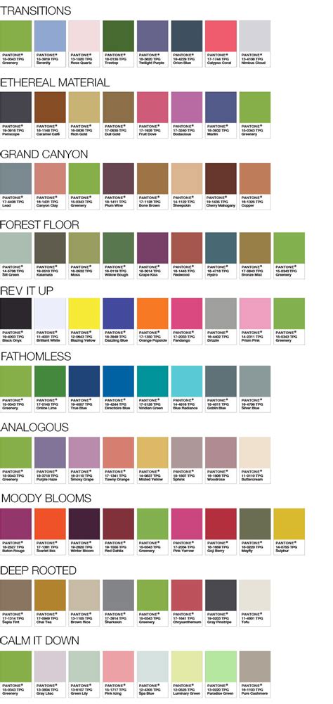 pantone color   year  color palette kdv label