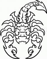 Scorpion Kids Tattoo Tattoos Popular Coloring sketch template