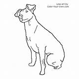 Rat Terrier Coloring Pages Color Dog Line Index Own sketch template