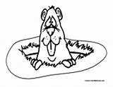 Gopher Coloring Pages Gophers Colormegood Animals sketch template