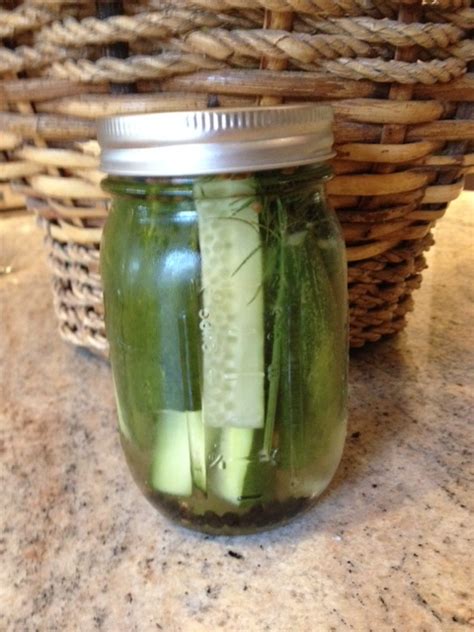 homemade refrigerator dill pickles