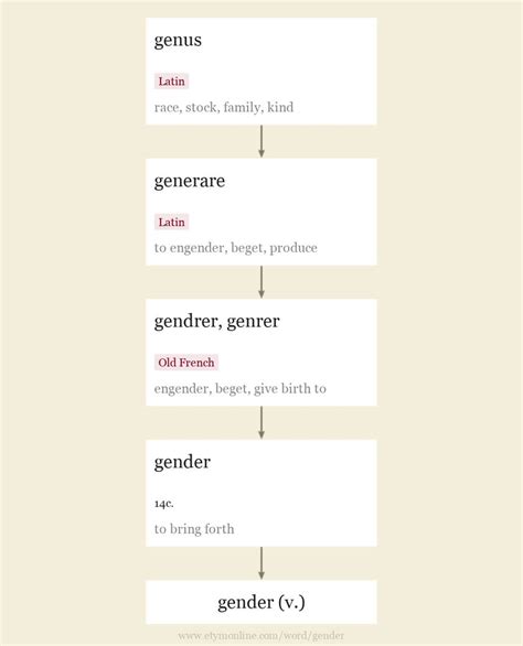 Gender Origin And Meaning Of Gender By Online Etymology Dictionary