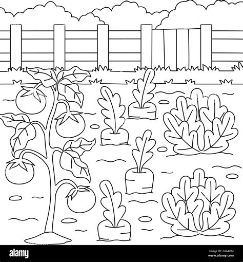 vegetable field coloring page  kids stock vector image art alamy