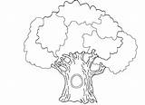Hollow Tree Coloring Pages sketch template