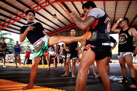 best muay thai training camps in thailand the top 5 town and tourist