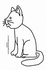 Mewarnai Kucing Binatang Hewan Sketsa sketch template