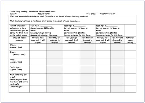 lesson plan template  teacher observation editable formal lesson wwwvrogueco