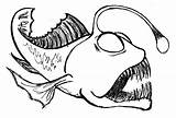 Fish Angler Coloring Pages Drawing Sketch Anglerfish Cool Drawings Nemo Color Skeleton Viper Printable Getdrawings Sketches Clipartmag Getcolorings Saltwater Finding sketch template