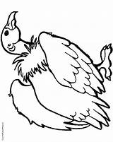 Turkey Vulture Clipartmag sketch template