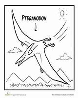 Pteranodon Coloring Dinosaur Designlooter sketch template