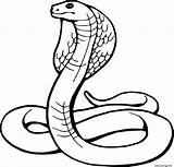 Serpent Imprimé sketch template