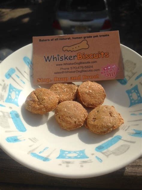 Retro Rover Tasty Tuesday Whisker Biscuits Product Review
