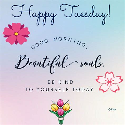 beautiful happy tuesday morning quotes   adopting  tuesday