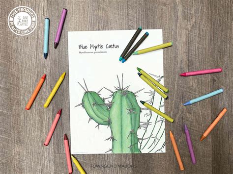 houseplant coloring pages plant coloring pages kids art etsy uk