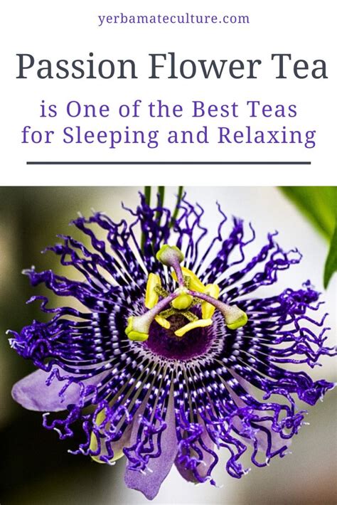 Pin On Herbal Teas And Remedies