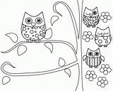 Owl Pages Coloring Color Babies Popular Kids sketch template
