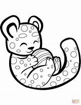 Cheetah Coloring Cute Pages Ball Playing Template sketch template
