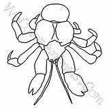 Crab Coconut Coloring Pages Click sketch template