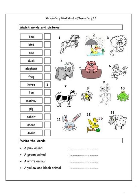 printable worksheets  elementary students vocabulary worksheets
