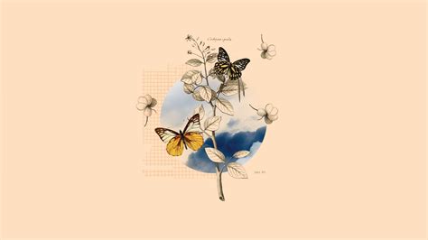 vintage butterfly wallpapers top  vintage butterfly backgrounds