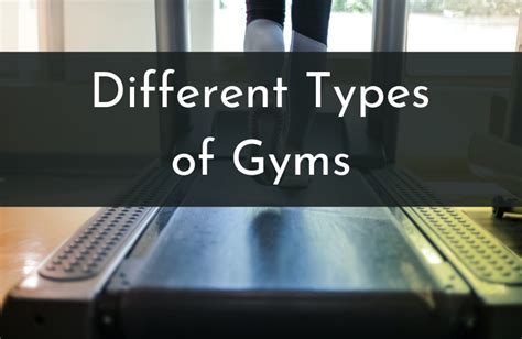 types  gyms overview pros cons