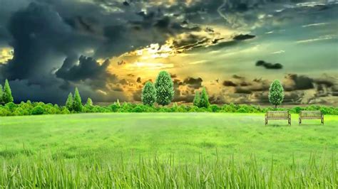 hd p nature grass field scenery video royalty  landscape video
