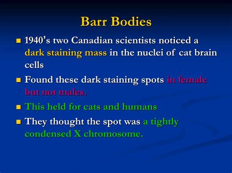 ppt sex chromatin bodies barr body powerpoint presentation free