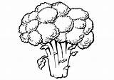 Broccoli Colorir Brokkoli Desene Brocoli Legumes Verduras Colorat Malvorlage Warzywa Kolorowanki Imagini Legume Schoolplaten Brócolis Compartilhar Ausmalbilder Frutas Planse Copii sketch template