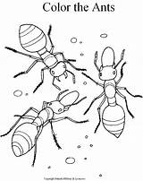 Coloring Pages Ant Kids Insect Printable Ants Choose Board Animals sketch template