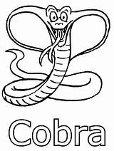 Cobra Coloring Pages King Color Clipart Snake sketch template