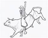 Coloring Pages Bull Print Riding sketch template