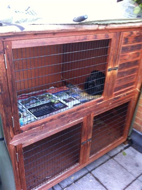 se england male lionhead rabbit with hutch reptile forums