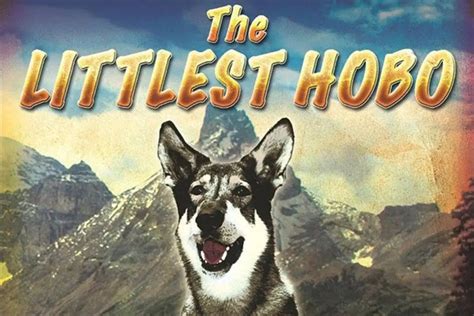 littlest hobo tv series  canadian childhood favorite german