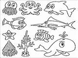 Coloring Pages Animals Ocean Sea Animal Fish Ecosystem Water Drawing Underwater Deep Life Creatures Plants Color Printable Scene Getdrawings Realistic sketch template