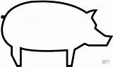 Pig Outline Template Coloring Printable Pages Piggy Clipart Face Pigs Printables Preschoolers Cartoon Templates Animal Color Bank Cute Simple Super sketch template