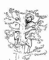 Zacchaeus Preschool sketch template